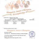 Mandala HJCH (csin.)