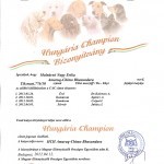 Ramses HCH Ramses HCH