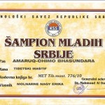 Ramses champion (1) Ramses champion (1)