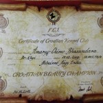 Ramses horvat champion