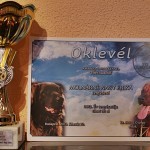 2012 Év tenyészete